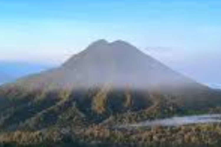 Contoh Cagar Alam di Indonesia, Jadi Tempat Pelestarian Flora, Fauna dan Objek Wisata Populer