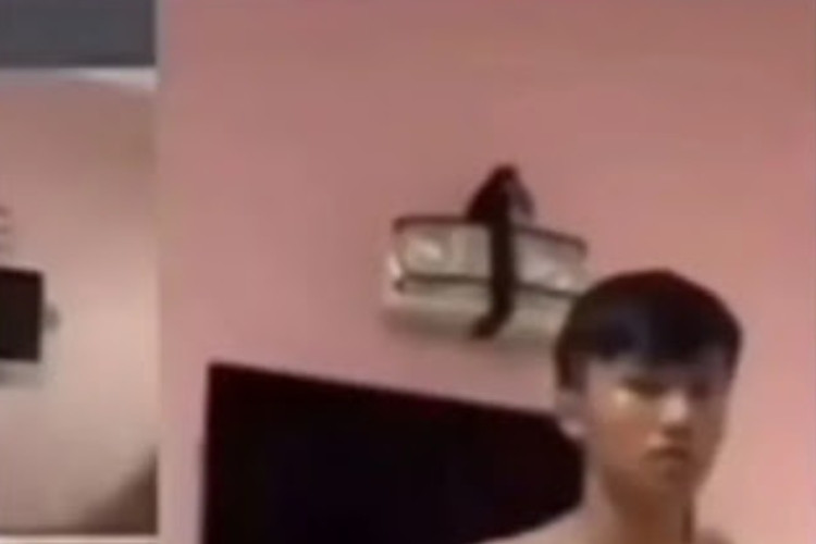 ASLI! Video Viral Karyawan Pabrik Brebes 4 Menit 10 Detik Full Beredar di Media Sosial Bikin Penasaran 