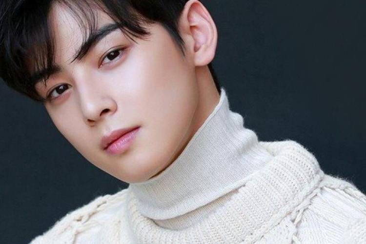 Cha Eun Woo Skandal Pajak 20 Miliar Won: Fantagio Denda 8,2 Miliar, Brand Cabut Iklan Massal 2026