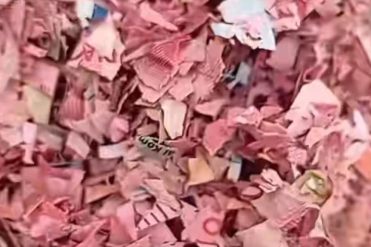 Video Cacahan Uang Pecahan Rp 100 Ribu di TPS Liar Bekasi Heboh, Polisi Amankan Hingga 21 Karung!