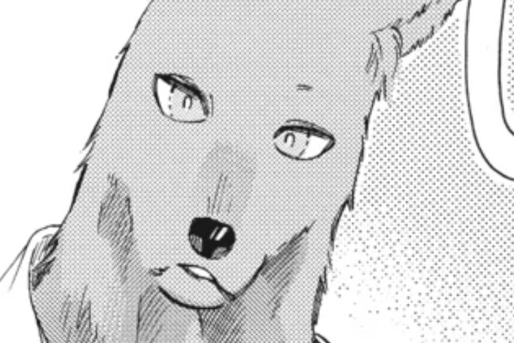 BACA Kimi to Koete Koi ni Naru (With You, Our Love Will Make It Through) Chapter 33 Sub Indonesia Kamu Nanya, Kamu Bertanya-Tanya?!