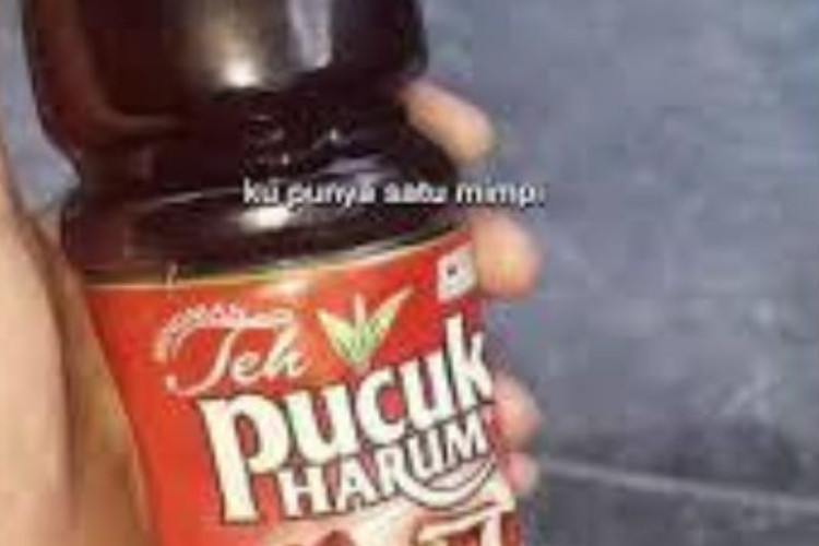 OMG! Video Teh Pucuk 1 Menit 50 Detik Tanpa Cut Tanpa Edit, Dijamin Bikin Kebayang-Bayang 