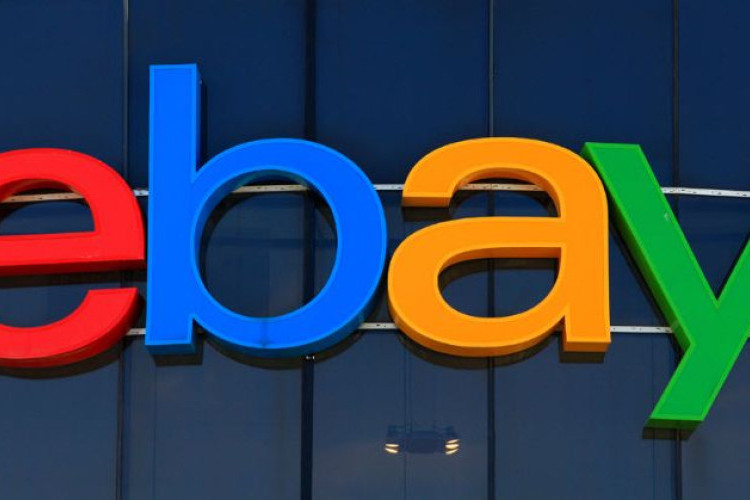 Kenapa Ebay Error Hari Ini, Benarkah Server Down Disebabkan Karana Serangan Cyber The Hacktivist Group 313? Ini Penjelasannya