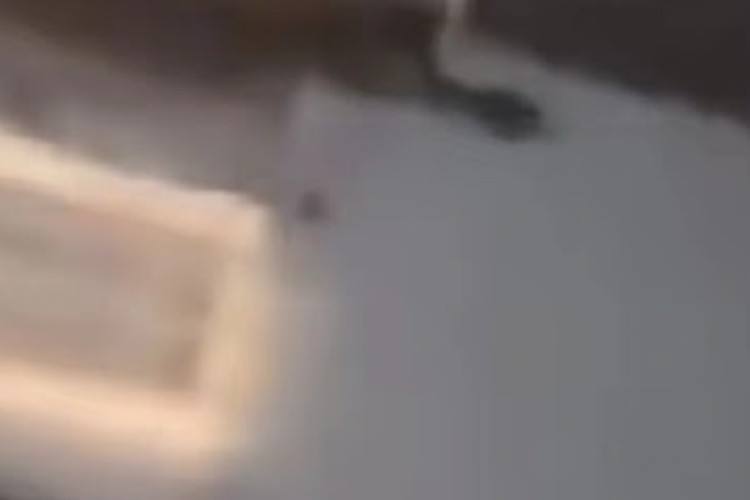 Video Batang Timur 16 Detik Viral di Media Sosial, Diduga Tampilkan Sosok Influencer yang Jadi Korban Love Scam