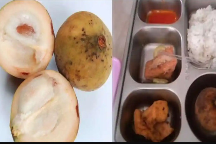Menu MBG Buah Kecapi di Gunung Sindur Bogor Viral, BGN Ungkap Kandungan Nutrisinya!