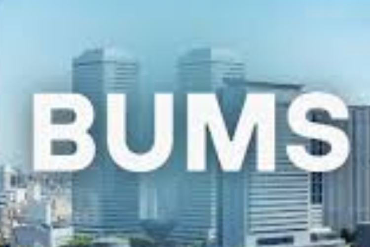 Bentuk BUMS yang Paling Mudah Untuk Didirikan Adalah? Berikut Penjelasannya