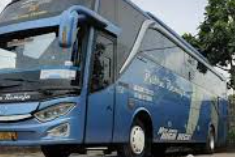 Download Livery BussID SHD Jetbus 3 Jernih Terbaru 2025, Body Makin Kinclong dan Bening