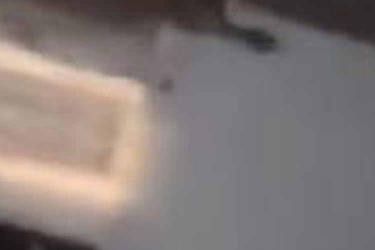 Bikin Gempar! Ini Video Asli Batang Timur yang Viral, Rekaman Pribadi Disebar Gara-Gara Gak Dikasih Pinjam Uang