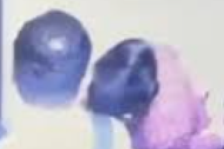 Direksi Maskapai Terseret Skandal Perselingkuhan, Rekaman CCTV 2 Menit Dibocorkan Isteri Sah