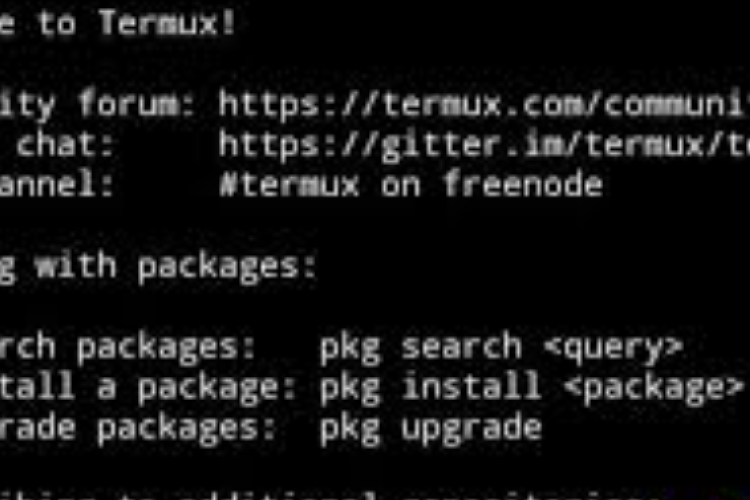 Cara Menggunakan Termux Paling Mudah dan Praktis, Cocok Dipraktekkan Para Pemula