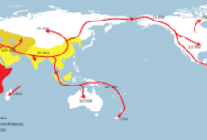 Jalur Migrasi Manusia Purba Hingga Mencapai Wilayah Timur Indonesia Melalui Mana?