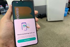 BSI Mobile Tidak Bisa Dibuka Error Hari Ini, 30 Agustus 2025 : Tak Usah Panik! Lakukan Ini Agar Bisa Akses Lagi