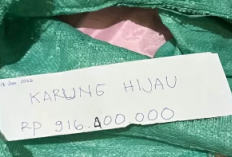 Viral Video Penyerahan Karung Berisi Uang: OTT Bupati Pati Sudewo dan Dugaan Jual Beli Jabatan