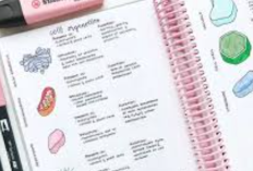 UPDATE Tips dan Trik Menulis Catatan Aesthetic di Buku Tulis, Auto Bikin Temanmu Ngiler!