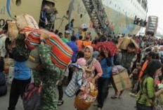 Apa Saja Cara Menanggulangi Migrasi Berlebihan? Ini Dia Penjelasannya