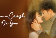 Link Nonton Drama China Have a Crush on You (2023) Episode 29 30 Sub Indo, Ning Zhi Qian Kembali Dekat dengan Ruan Liu Zheng