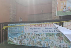 Siapa Pemilik Daycare Little Aresha Jogja? Fakta di Balik Kasus Viral Tentang Penelantaran dan Kekerasan Pada Anak Dibawah Umur