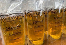 Bulog Pastikan Distribusi Minyakita Stabil dan Merata demi Jaga Harga Pasar serta Ketersediaan Stok Nasional