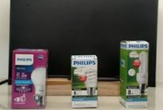 Serupa Tapi Tak Sama! Perbedaan Philips MyCare dan Radiant Line, Ternyata Miliki Fungsi dan Kegunaan yang Berbeda