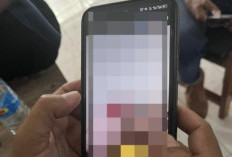 Video Diduga KKN 13 Menit Lombok Timur Masih Jadi Buruan, Ada Kaitannya Dengan Rekaman Teh Pucuk?