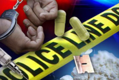 Terungkap Sosok SL Selebgram Viral yang Digrebek Polisi, Pesta Narkoba di Apartemen!