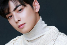 Cha Eun Woo Skandal Pajak 20 Miliar Won: Fantagio Denda 8,2 Miliar, Brand Cabut Iklan Massal 2026