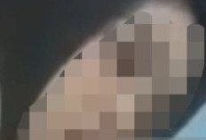 Sosok Pemeran Video KKN 13 Menit 7 Detik, Apakah Benar Mahasiswa, Cek di Sini! 