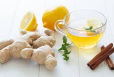 Obat Batuk Kering Alami & Paling Ampuh Untuk Dewasa, Hilangkan Gatal Sembuhkan Lebih Cepat!