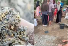 Link Video Viral Warga Temukan Emas Pasca Banjir di Aceh Gegerkan Media Sosial
