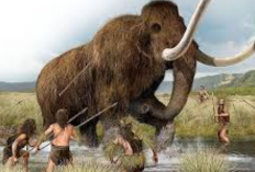 Cara Bangsa Melakukan Migrasi Pertama ke Indonesia Yaitu? Cek Jawabannya Disini!