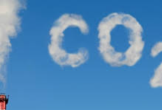 Cara yang Paling Mudah Untuk Mengurangi Karbondioksida di Udara Adalah?