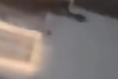 Video Batang Timur 16 Detik Viral di Media Sosial, Diduga Tampilkan Sosok Influencer yang Jadi Korban Love Scam