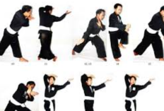 Cara Melakukan Gerakan Pasang PSHT 1 Sampai 20, Ikuti Panduan Gambar Berikut Ini!