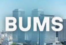 Bentuk BUMS yang Paling Mudah Untuk Didirikan Adalah? Berikut Penjelasannya