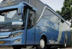 Download Livery BussID SHD Jetbus 3 Jernih Terbaru 2025, Body Makin Kinclong dan Bening