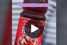 Isi Video Botol Teh Pucuk 1 Menit 50 Detik yang Viral di TikTok, Bikin Warganet Penasaran! Klik Disini Video Fullnya