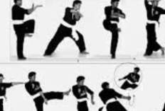 Link Download Gambar Pasang PSHT 1-35 Full, Siswa Baru Wajib Punya Untuk Latihan di Rumah!