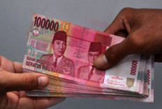 WASPADA! Aplikasi VIR Berikan Uang Cash Untuk yang Mau Upload Foto Sampah, Begini Faktanya! 