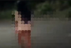 Link Asli Video Perempuan Berhijab Jalan Tanpa Celana Tengah Malam, Kepergok Pemotor yang Melintas di Bangkalan